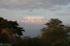 IMG 7819-Kenya, Kilimanjaro at dawn seen from Zebra Lodge in Kimana Reserve